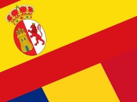 DEMERSURI PENTRU INTRODUCEREA UNUI CURS DE LIMBA ROM&Acirc;NĂ &Icirc;N &Icirc;NVĂȚĂM&Acirc;NTUL SPANIOL