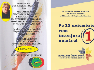 Alegeri pentru consiliile naționale! Românii din Serbia au două liste