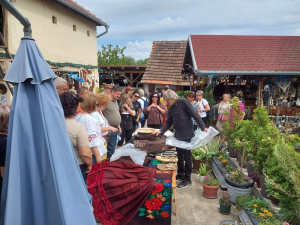 Participanții la programul &bdquo;Rom&acirc;nii de l&acirc;ngă noi&rdquo; au vizitat muzeul etnografic al lui Miki Vasiljevic, din Kladusnica