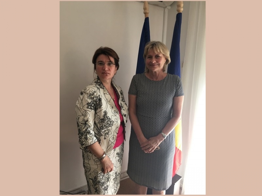 DISCUȚII &Icirc;N SPRIJINUL ROM&Acirc;NILOR DIN SUEDIA
