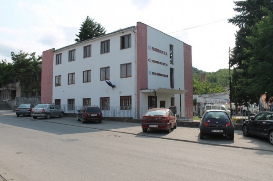 SERVICIILE PUBLICE DIN ORȘOVA, SUB LUPA CONSILIULUI LOCAL
