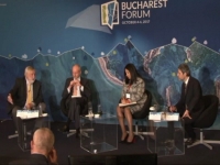MINISTRUL PENTRU ROM&Acirc;NII DE PRETUTINDENI, LA BUCHAREST FORUM ROMANIA