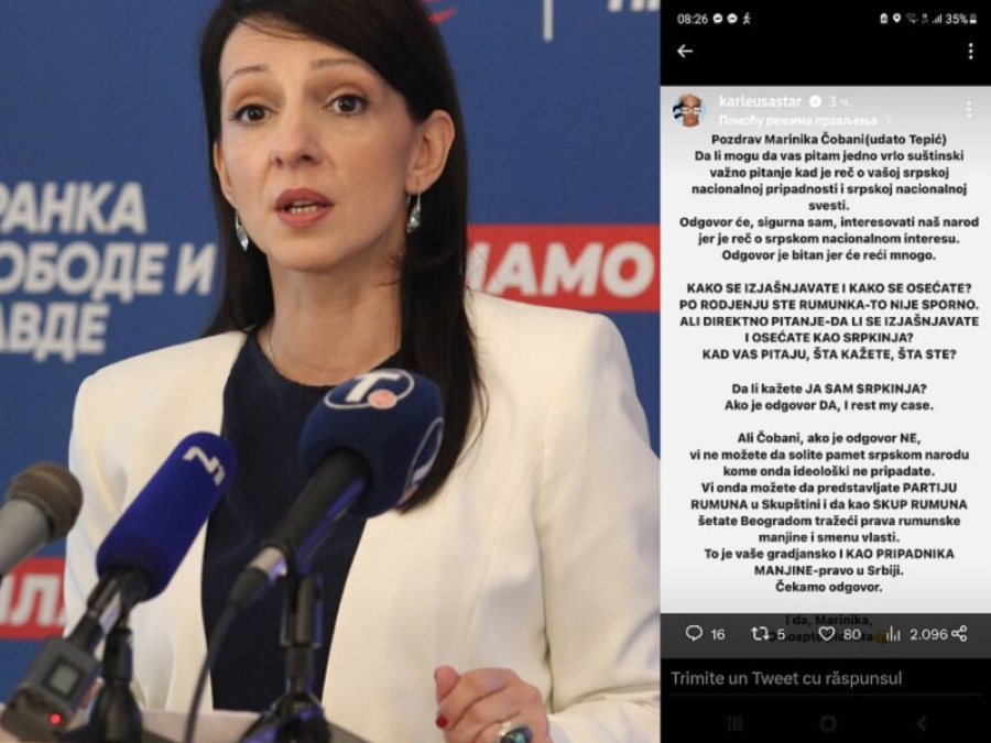 Marinica Tepici, atacată etnic: &bdquo;Dacă ea e rom&acirc;ncă, nu poate conduce opoziția s&acirc;rbă!&rdquo;
