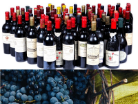 Un an foarte prost pentru vinificație, &icirc;n Transcarpatia