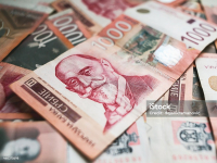 Salariul mediu &icirc;n Serbia de Răsărit (revista presei)